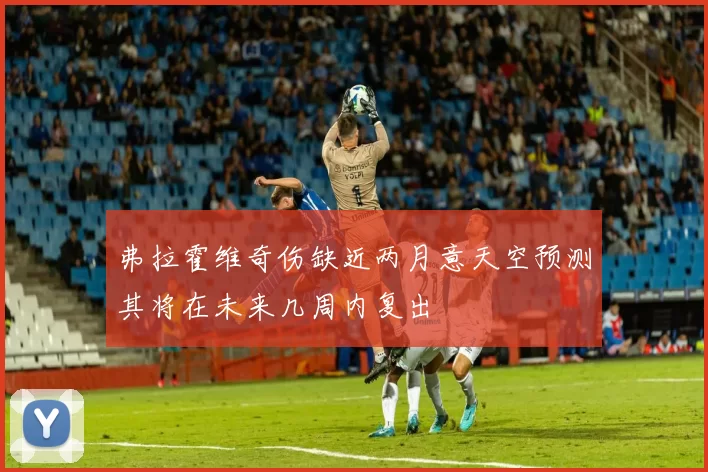 弗拉霍维奇伤缺近两月意天空预测其将在未来几周内复出