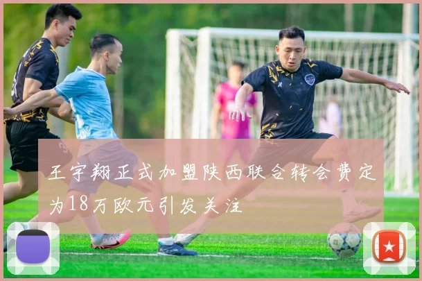 王宇翔正式加盟陕西联合转会费定为18万欧元引发关注