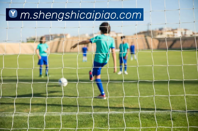 数据防护可视化